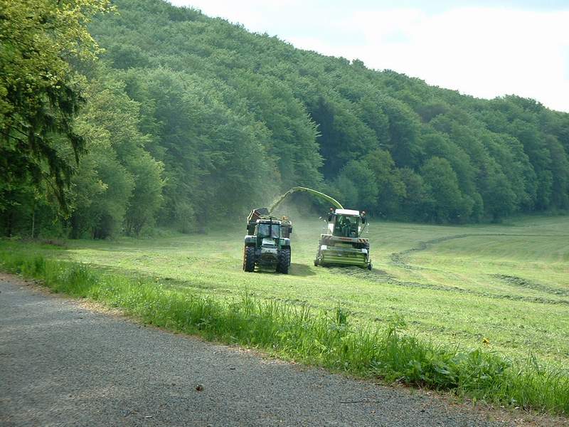 jaguar_900 _+_fendt_824_7.jpg